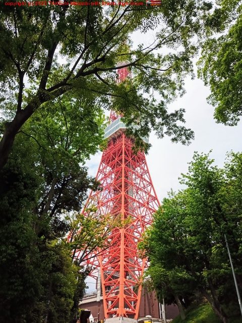 �������˹Ԥä��褿��